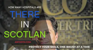 Exploring Scotland's Healthcare: Hospitals and Their Numbers