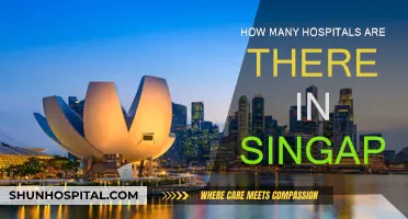Singapore's Hospitals: A Comprehensive Count
