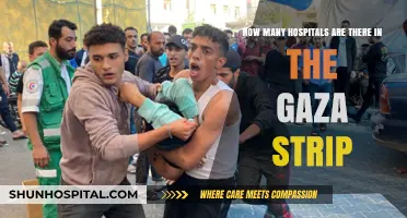 Gaza Strip's Healthcare Infrastructure: Counting Hospitals Amidst Challenges