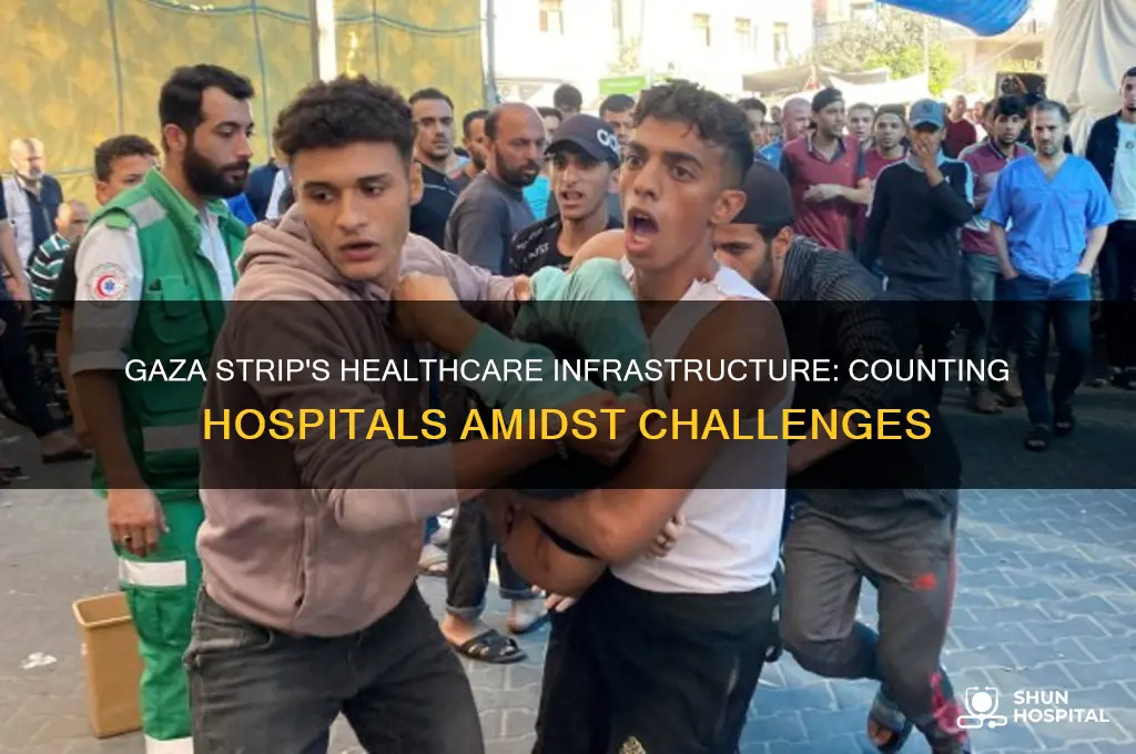 how many hospitals are there in the gaza strip