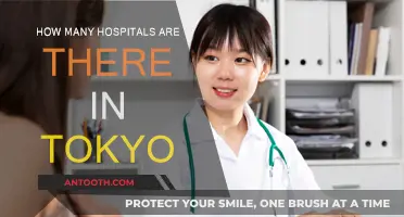 Exploring Tokyo's Healthcare: Hospitals Count and Capacity
