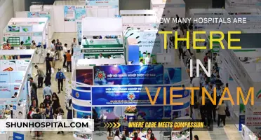 Exploring Vietnam's Healthcare: Hospitals Count