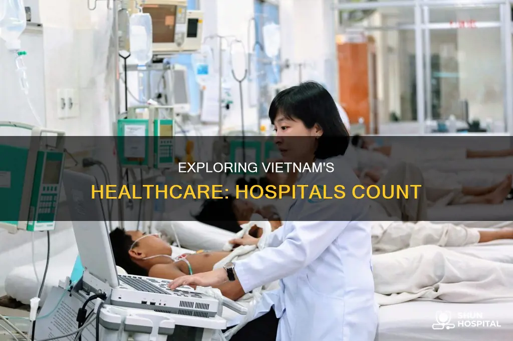 how many hospitals are there in vietnam