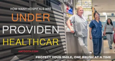 Provident Healthcare: A Comprehensive Hospital Network