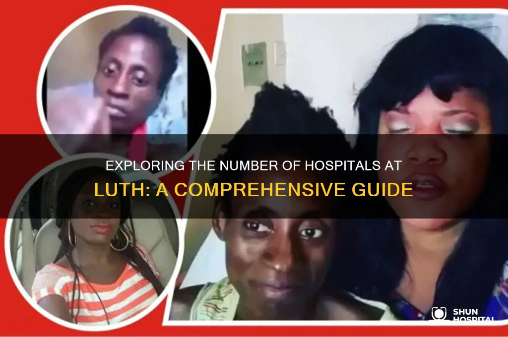 how many hospitals at luth