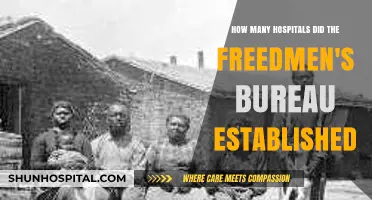 Freedmen's Bureau's Impact: Hospitals Established Post-Civil War