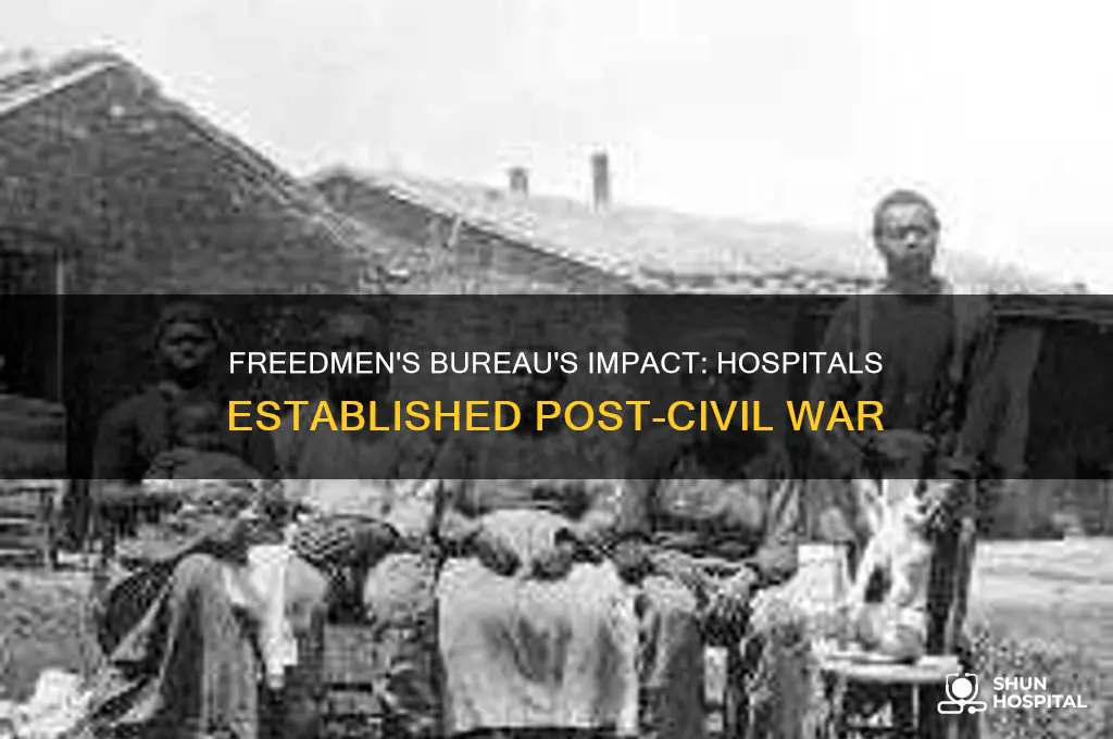 how many hospitals did the freedmen