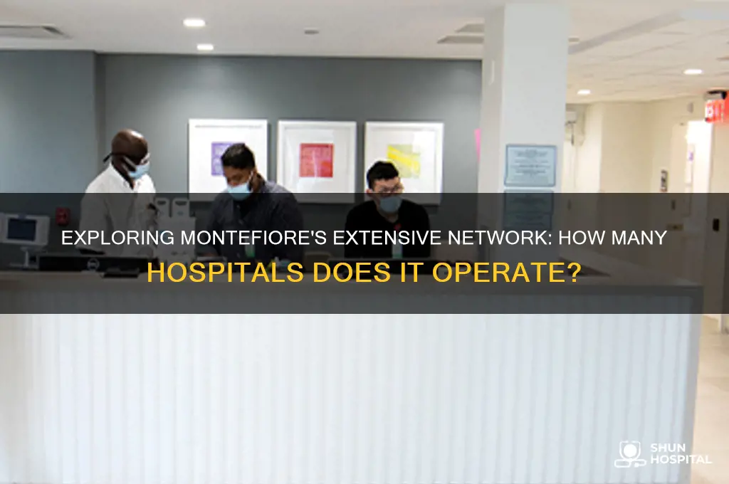 how many hospitals does montefiore