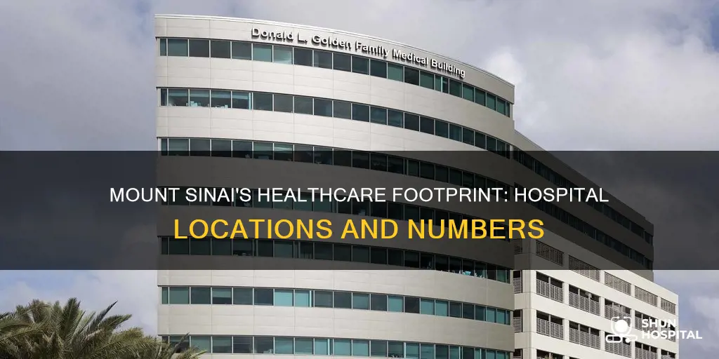how many hospitals does mount sinai have