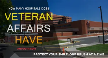 Veterans Affairs: A Comprehensive Healthcare Network