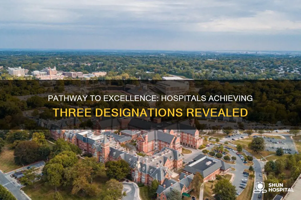 how many hospitals have 3 pathway to excellence designations