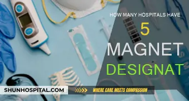 Magnet Hospitals: An Elite Group of Five