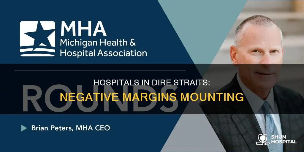 how many hospitals have a negative margin