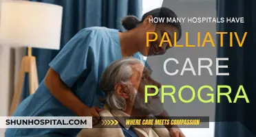 Palliative Care Programs: How Many Hospitals Offer This?