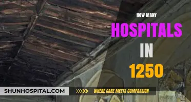 Exploring Medieval Healthcare: Hospital Count in the Year 1250