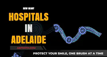 Exploring Adelaide's Healthcare: A Comprehensive Guide to Local Hospitals