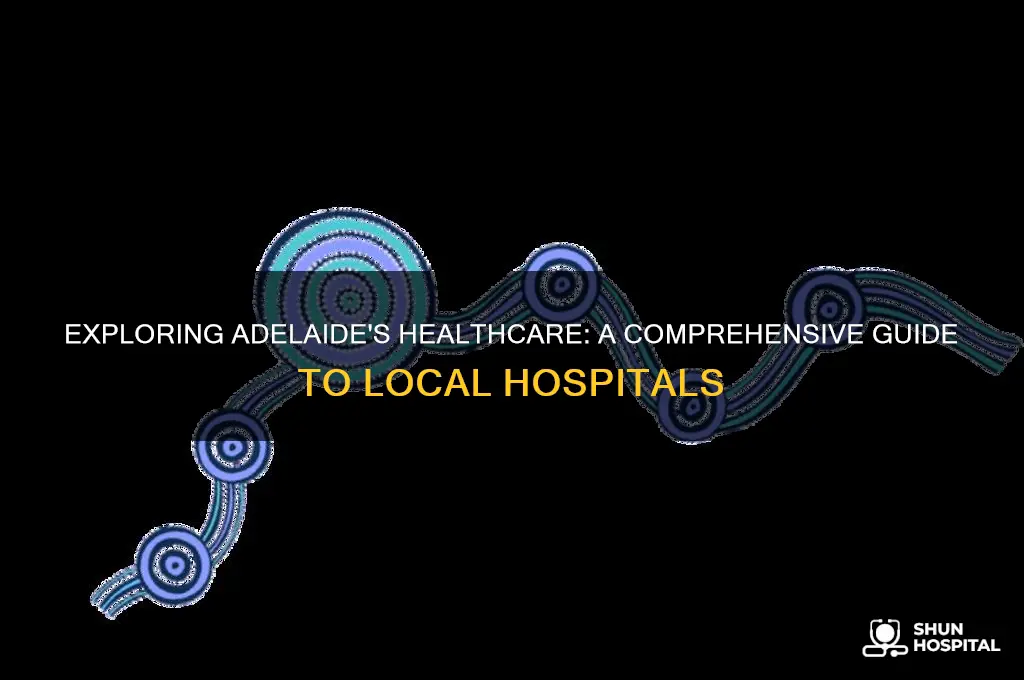 how many hospitals in adelaide