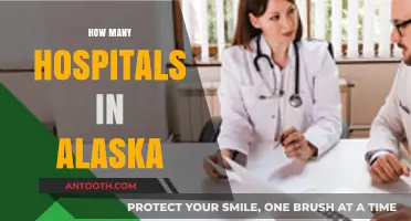 Exploring Alaska's Healthcare: How Many Hospitals Serve the State?