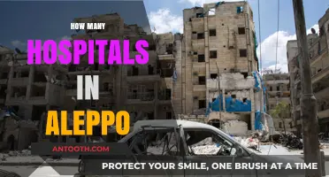Exploring Aleppo's Healthcare: How Many Hospitals Serve the City?