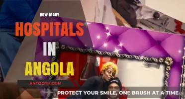 Exploring Angola's Healthcare: How Many Hospitals Serve the Nation?