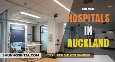 Exploring Auckland's Healthcare: A Comprehensive Guide to Local Hospitals
