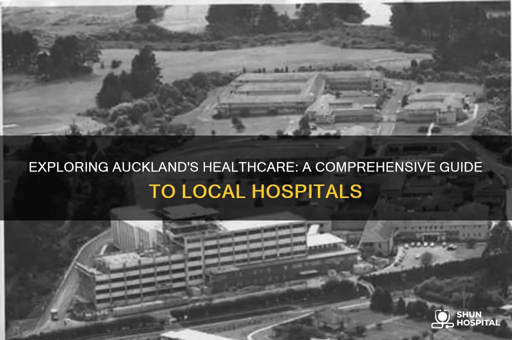 how many hospitals in auckland