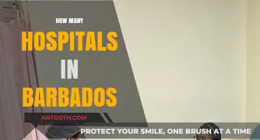 Exploring Barbados' Healthcare: How Many Hospitals Serve the Island?