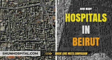 Exploring Beirut's Healthcare: A Comprehensive Guide to Its Hospitals