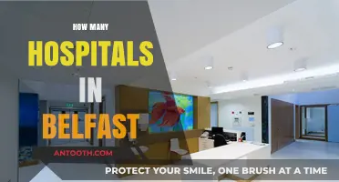 Exploring Belfast's Healthcare: A Comprehensive Guide to Its Hospitals
