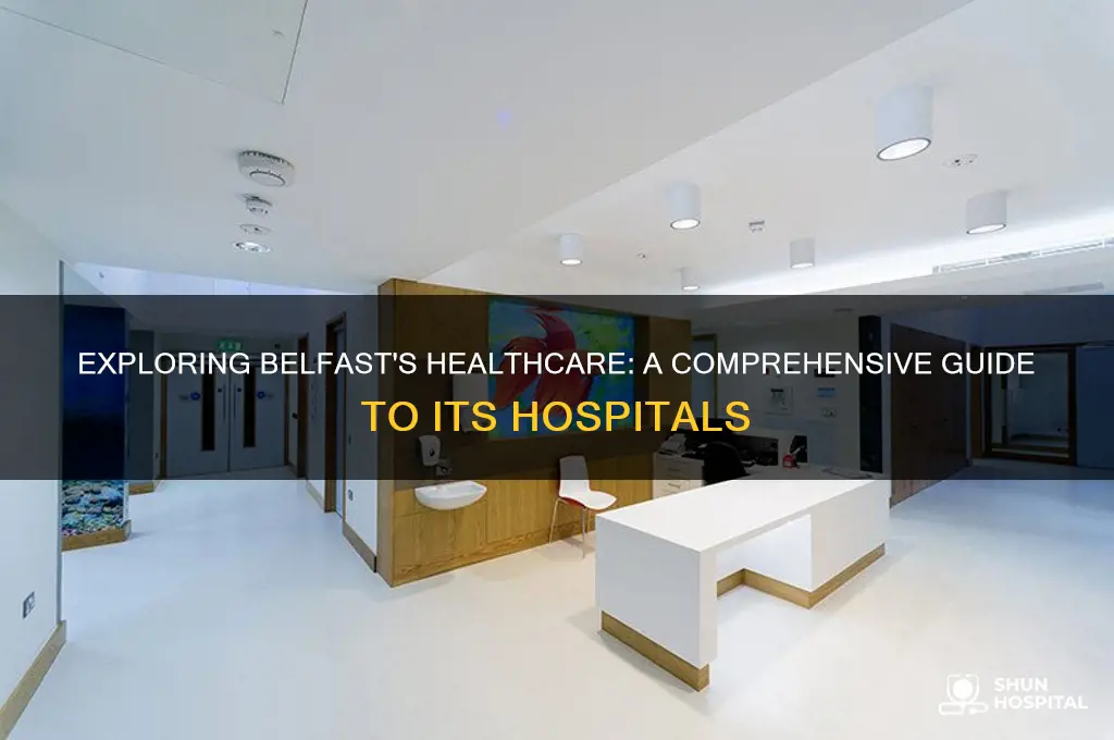 how many hospitals in belfast