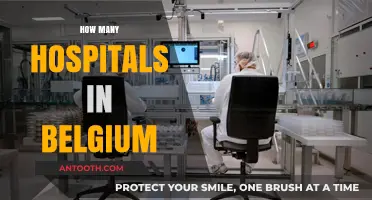Exploring Belgium's Healthcare: A Comprehensive Count of Its Hospitals