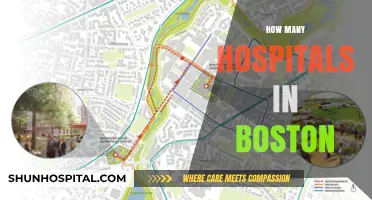 Exploring Boston's Healthcare Landscape: A Comprehensive Guide to Its Hospitals