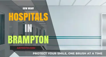 Exploring Brampton's Healthcare: A Comprehensive Guide to Local Hospitals