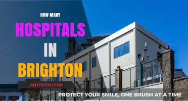 Exploring Brighton's Healthcare: A Comprehensive Guide to Local Hospitals