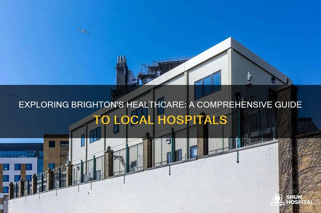 how many hospitals in brighton