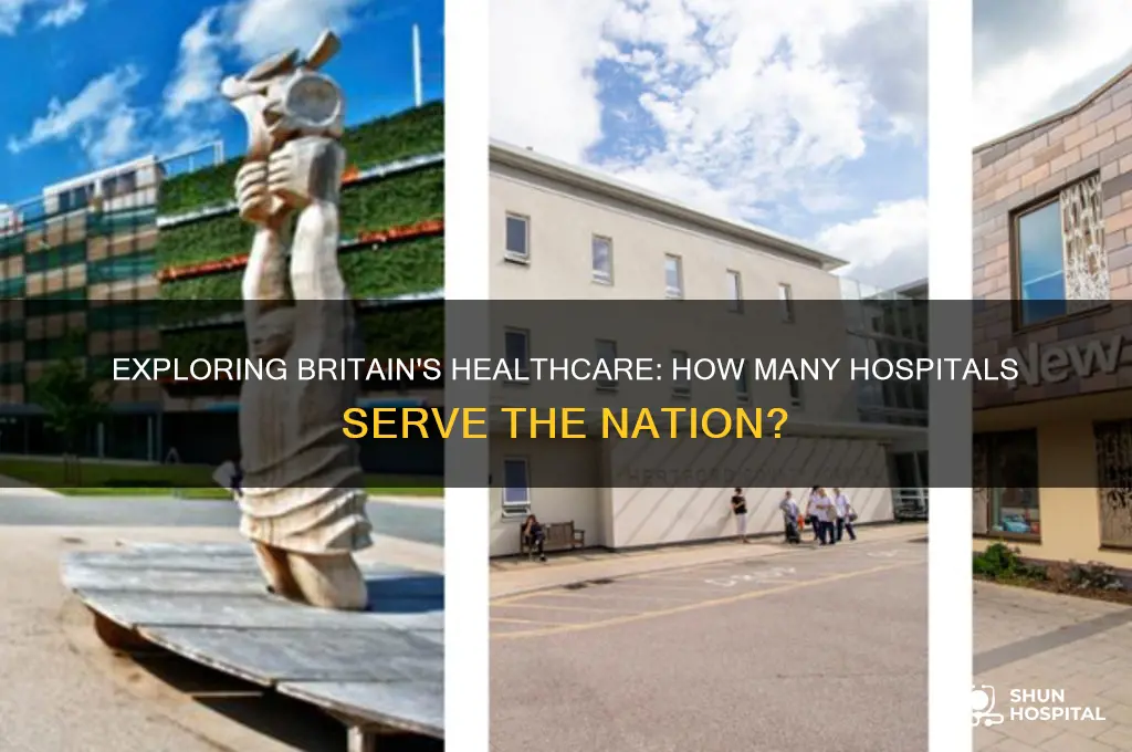 how many hospitals in britain