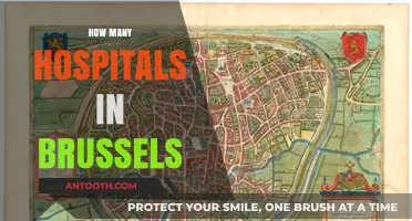 Exploring Brussels Healthcare: A Comprehensive Guide to Its Hospitals