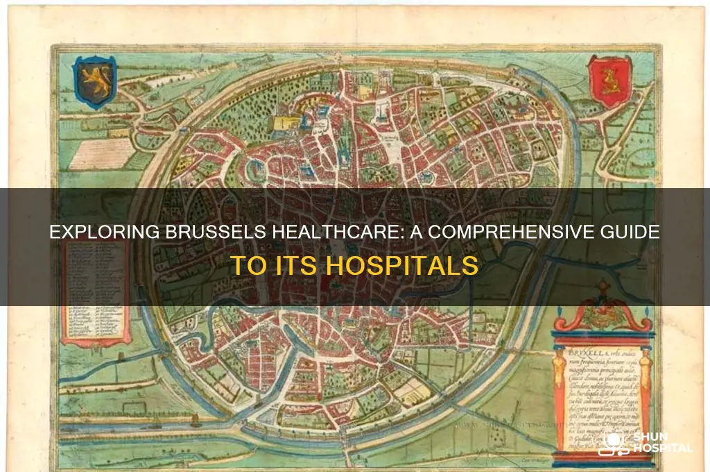 how many hospitals in brussels