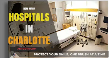 Exploring Charlotte's Healthcare: A Comprehensive Guide to Local Hospitals