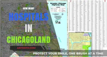 Exploring Chicagoland's Healthcare: How Many Hospitals Serve the Region?