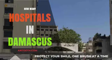 Exploring Damascus Healthcare: How Many Hospitals Serve the City?