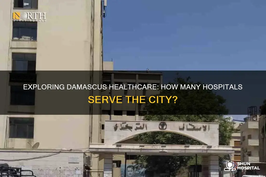 how many hospitals in damascus