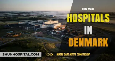 Exploring Denmark's Healthcare: How Many Hospitals Serve the Nation?