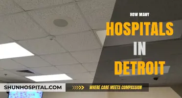 Exploring Detroit's Healthcare Landscape: A Comprehensive Hospital Count