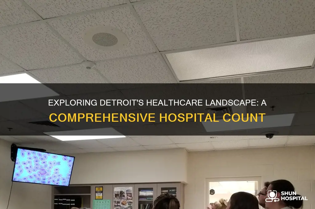 how many hospitals in detroit