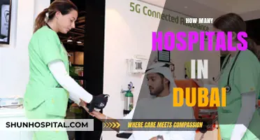 Exploring Dubai's Healthcare: A Comprehensive Guide to Its Hospitals
