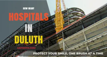 Exploring Duluth's Healthcare: A Comprehensive Guide to Local Hospitals