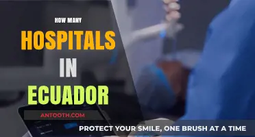 Exploring Ecuador's Healthcare: A Comprehensive Look at Hospital Numbers