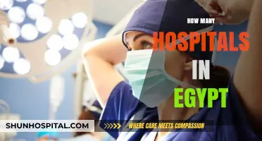 Exploring Egypt's Healthcare: The Number of Hospitals Nationwide