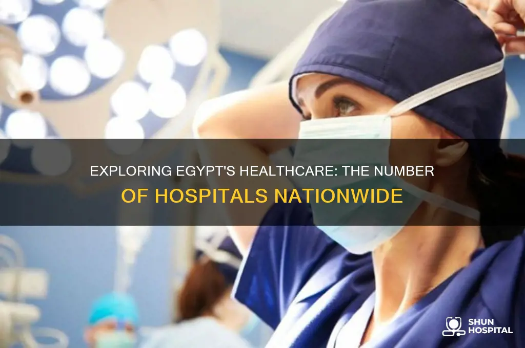 how many hospitals in egypt